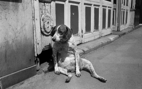 ...dans la ville... (1), photographies et vidéo de la collection du FRAC N-PdC, 11 septembre - 9 octobre 2004