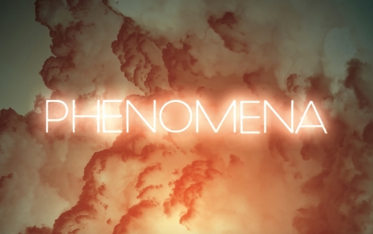 PHENOMENA - du 4 juin au 2 juillet 2016