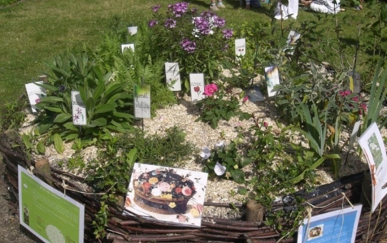 Jardin, reflets d’œuvres d’art, Musée Sandelin - IME de Longuenesse, Ecole Michelet de Saint-Omer - du 5 au 7 juin 2009